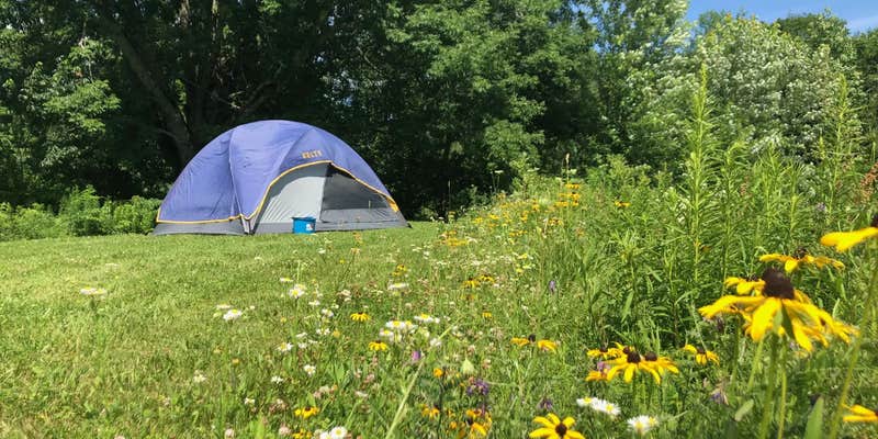 Camper submitted image from Continuous Harmony Farm