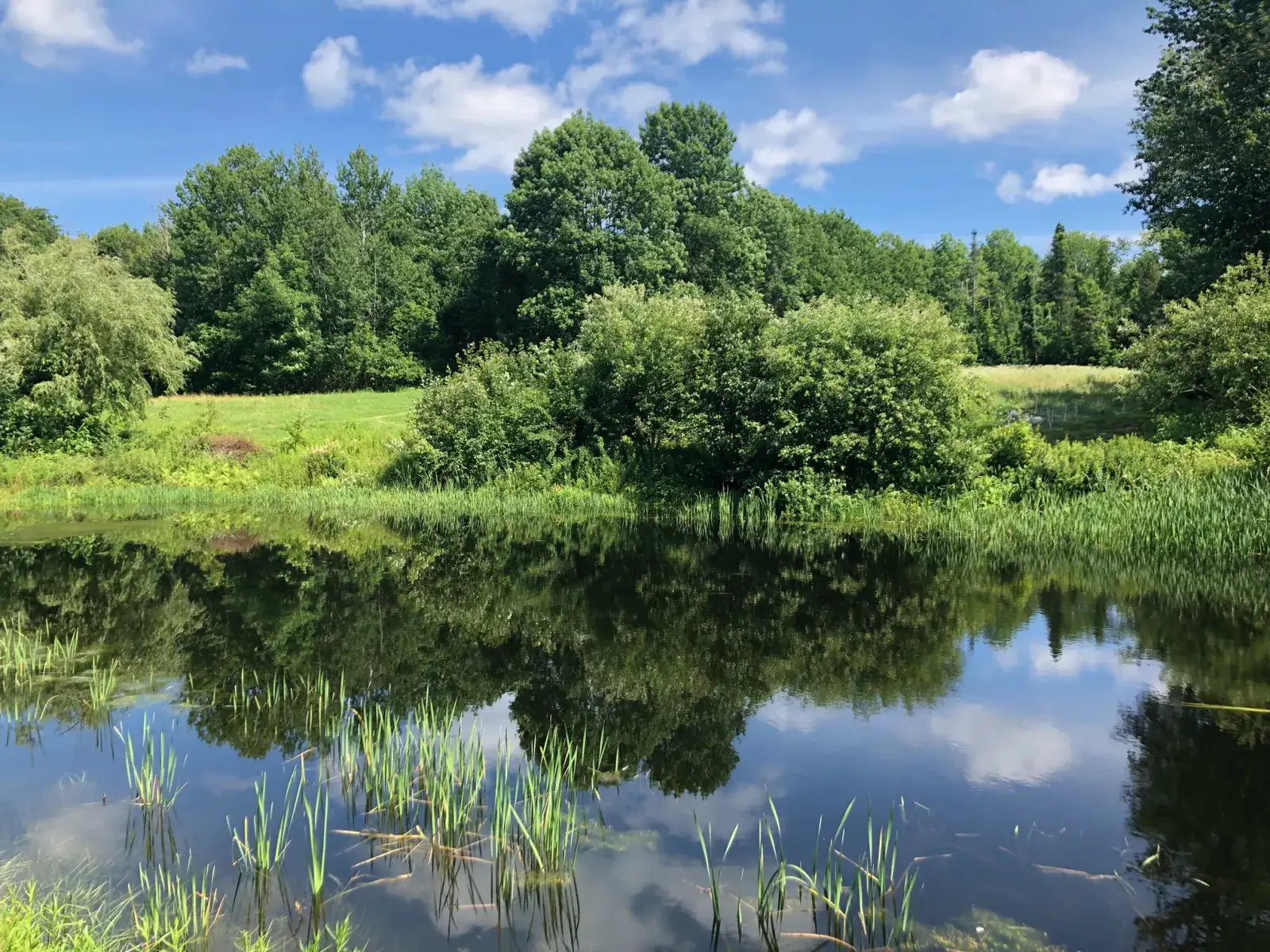 Camper-submitted photo at Continuous Harmony Farm near Alna, ME