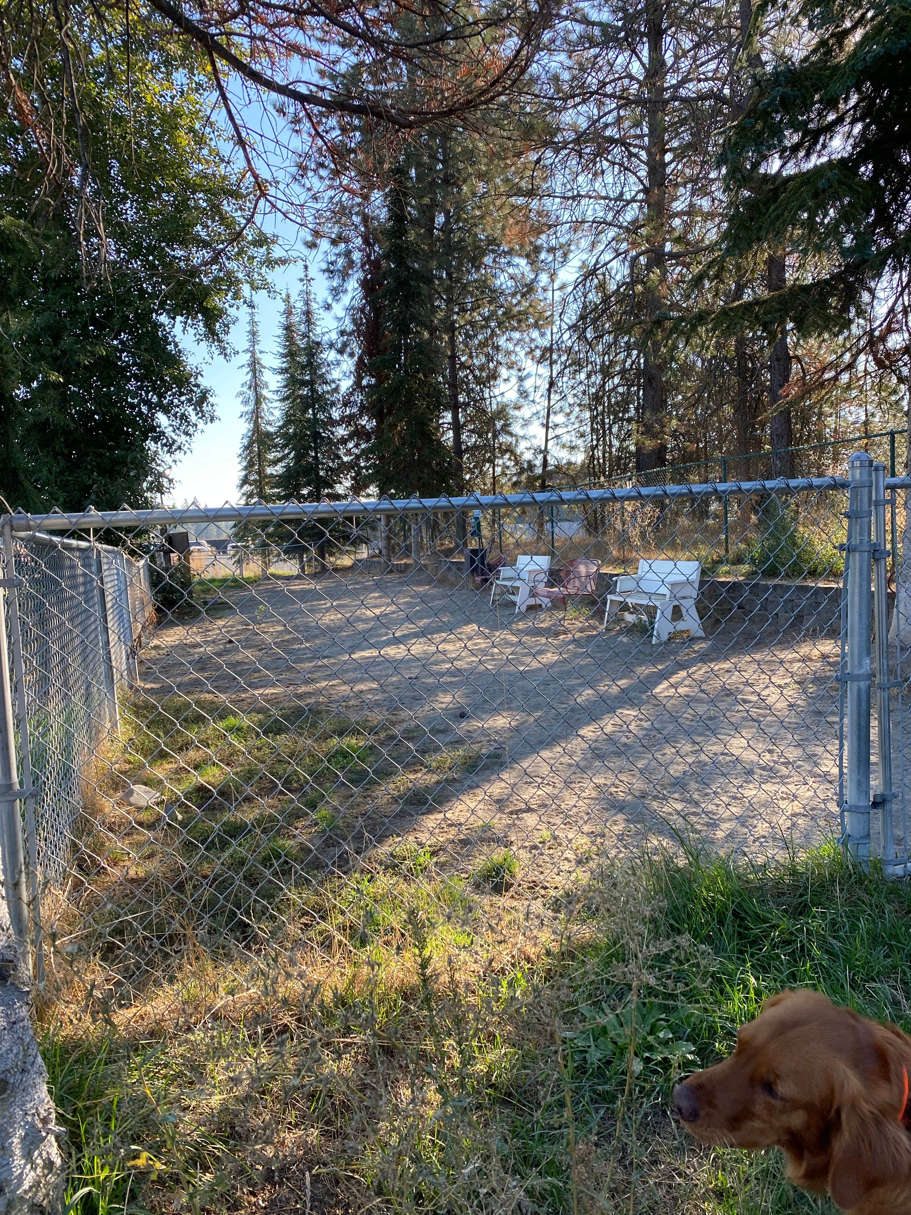 mary F.'s photo of camping with pets at Alderwood RV Park near Newman Lake, WA