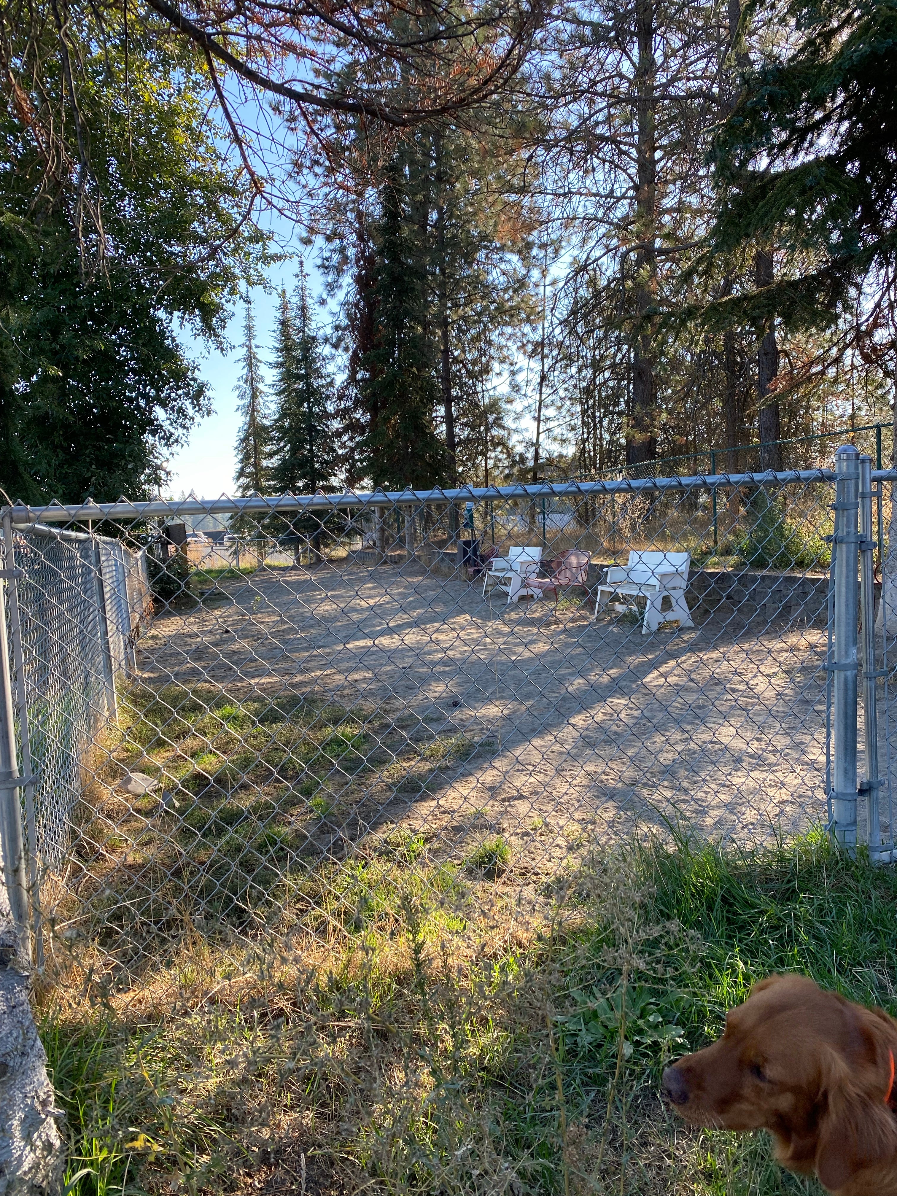 Camper submitted image from Alderwood RV Park - 5