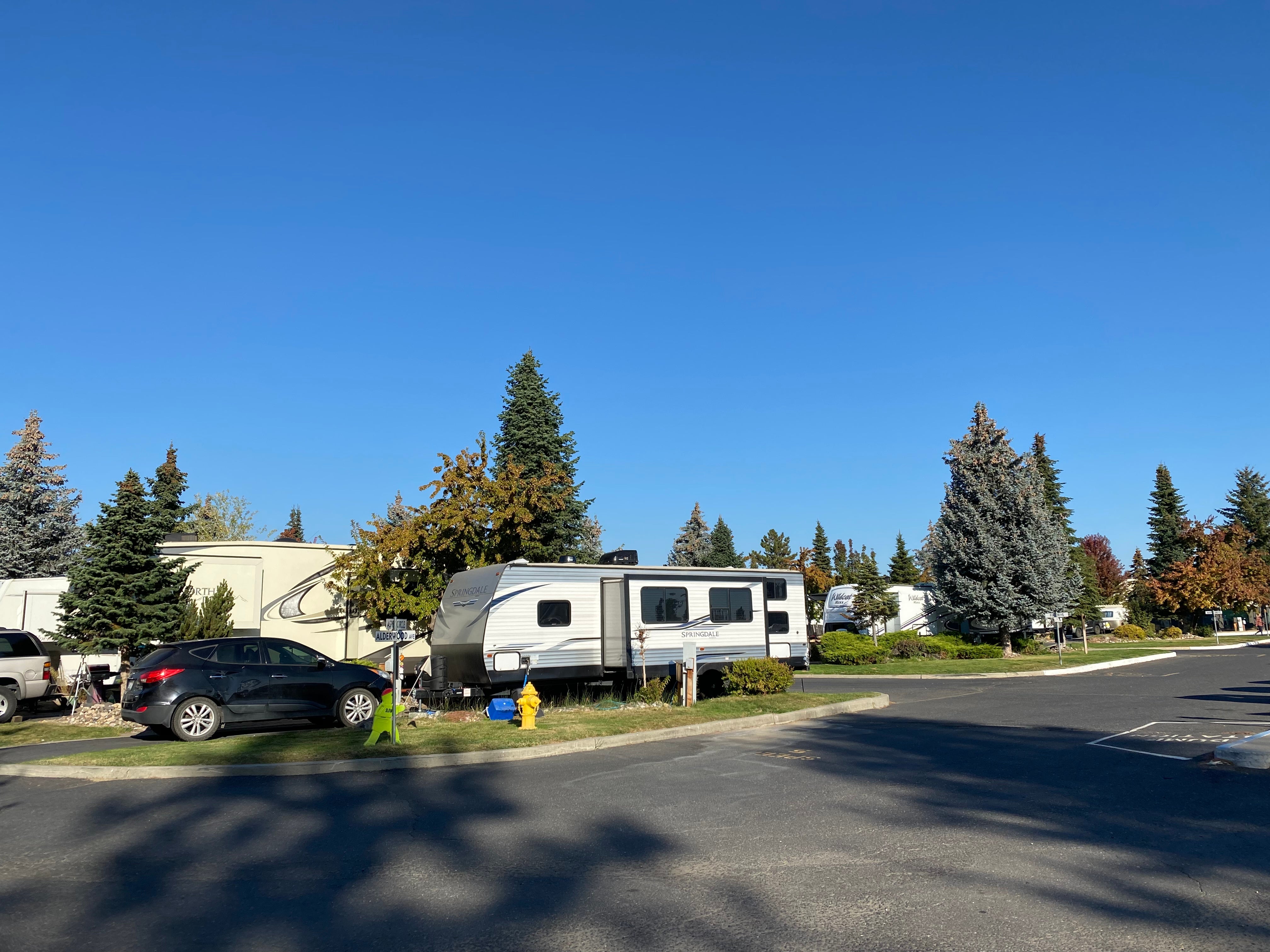 Camper submitted image from Alderwood RV Park - 1