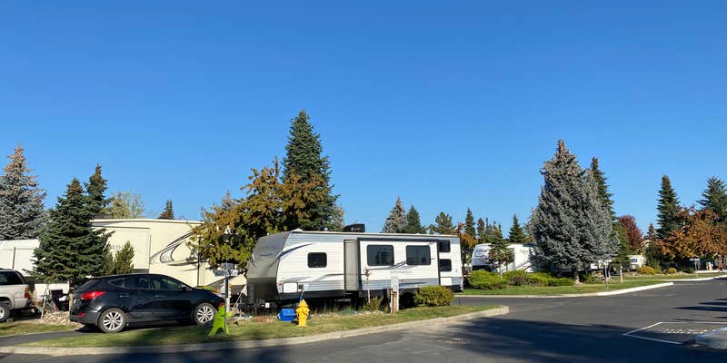 Camper submitted image from Alderwood RV Park