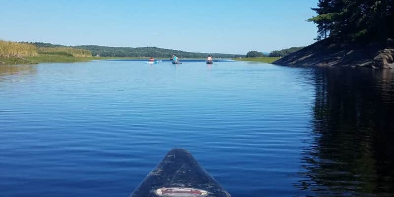 Camper submitted image from Trout Brook Farm Campground — Baxter State Park