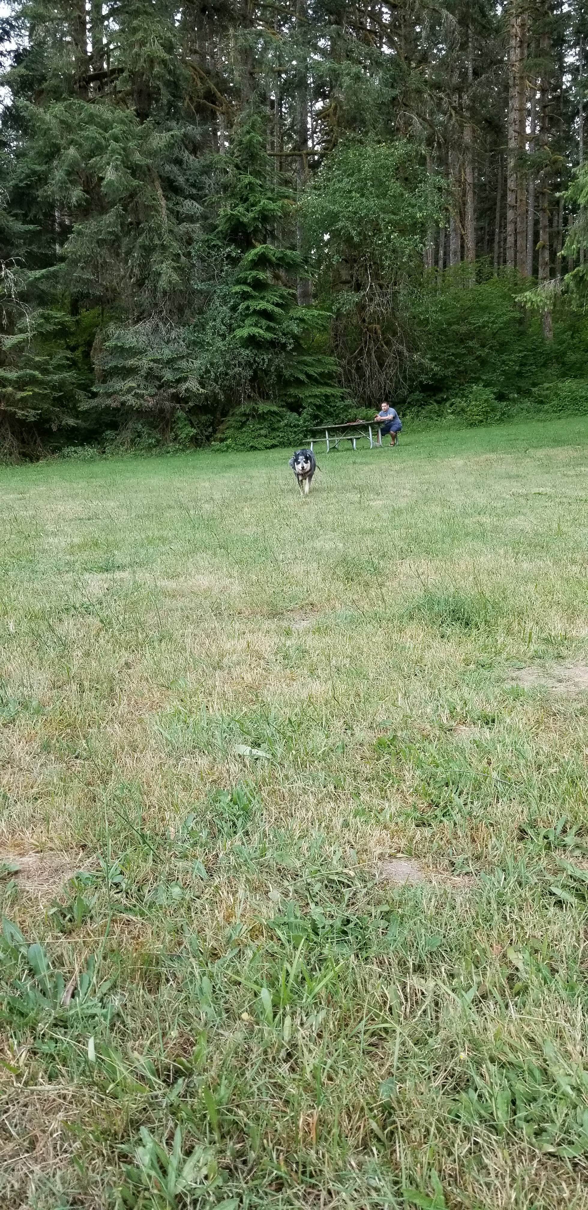 Camper-submitted photo at Silver Falls State Park Campground in Oregon
