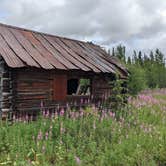 Review photo of Kendesnii Campground — Wrangell-St. Elias National Park by Shari  G., October 12, 2022