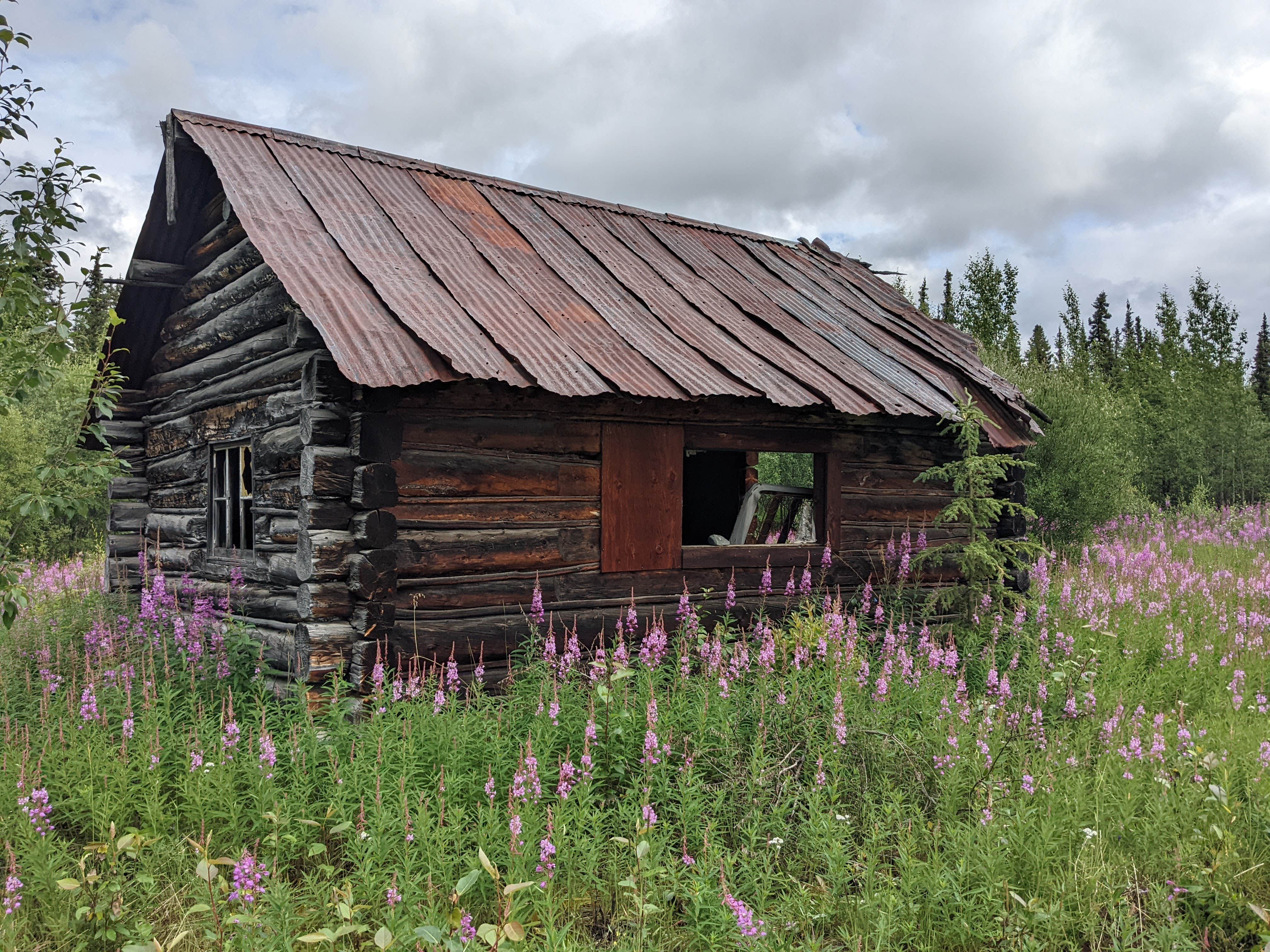 Camper submitted image from Kendesnii Campground — Wrangell-St. Elias National Park - 2