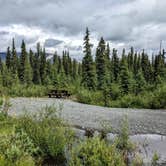 Review photo of Kendesnii Campground — Wrangell-St. Elias National Park by Shari  G., October 12, 2022