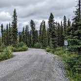 Review photo of Kendesnii Campground — Wrangell-St. Elias National Park by Shari  G., October 12, 2022