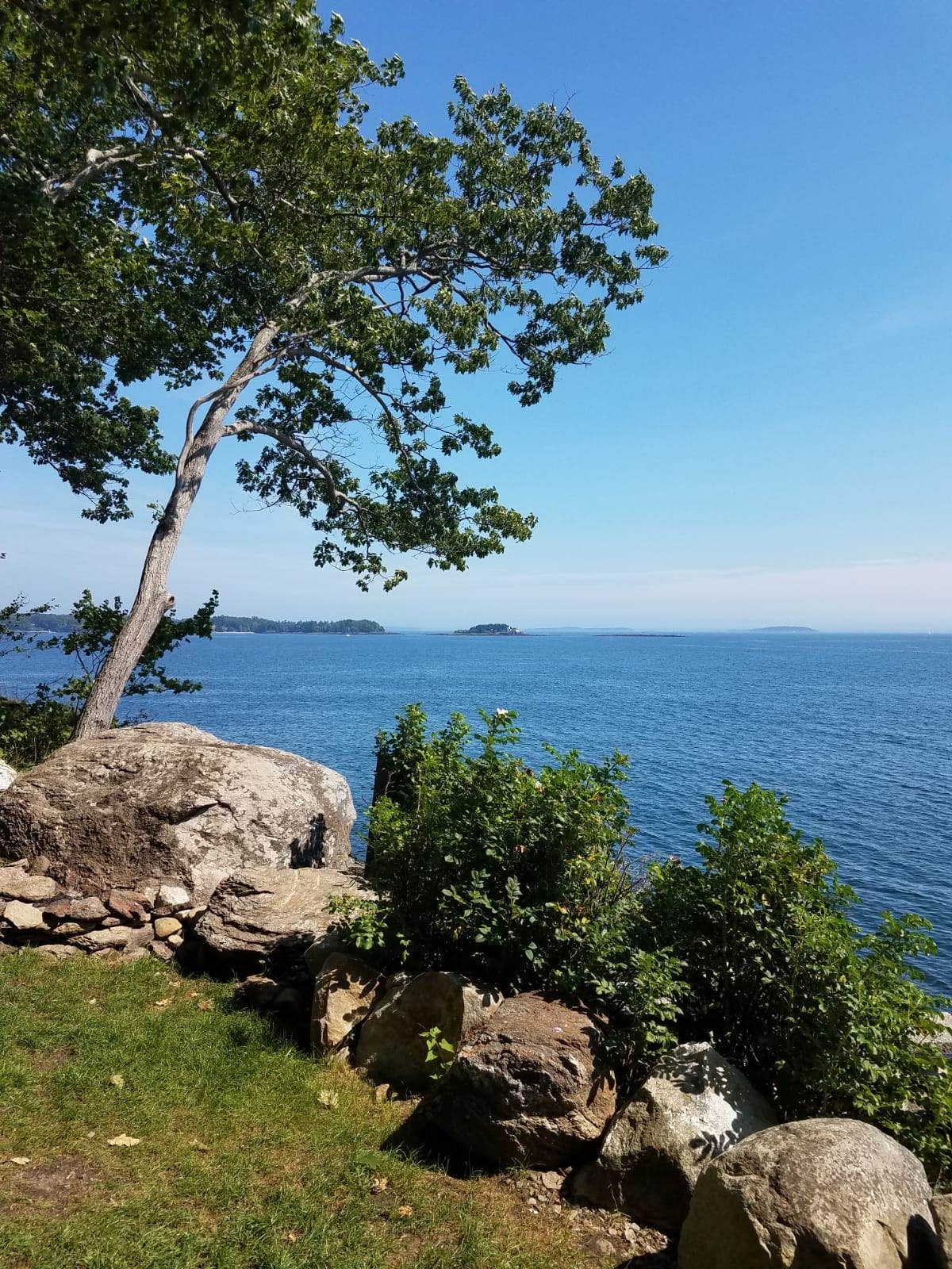 Maine Megunticook Campground: Where The Sea Meets The Pines
