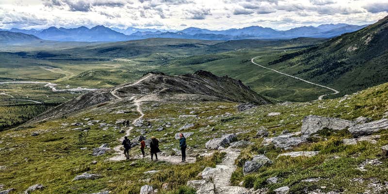 Camper submitted image from Teklanika River Campground — Denali National Park