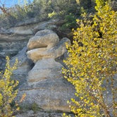 Review photo of Lost Maples State Natural Area by Patricia S., October 12, 2022