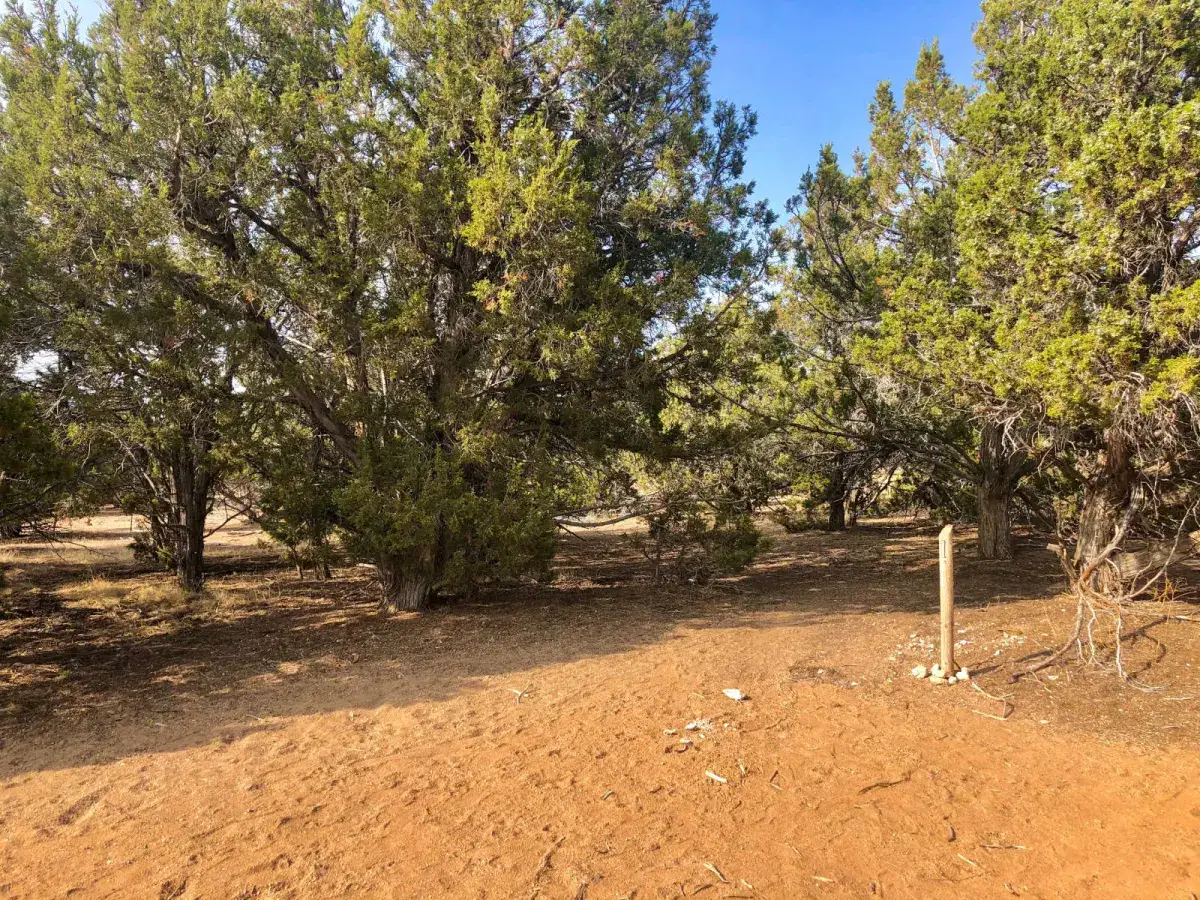Camper-submitted photo at Wind Walker Homestead near Mona, UT