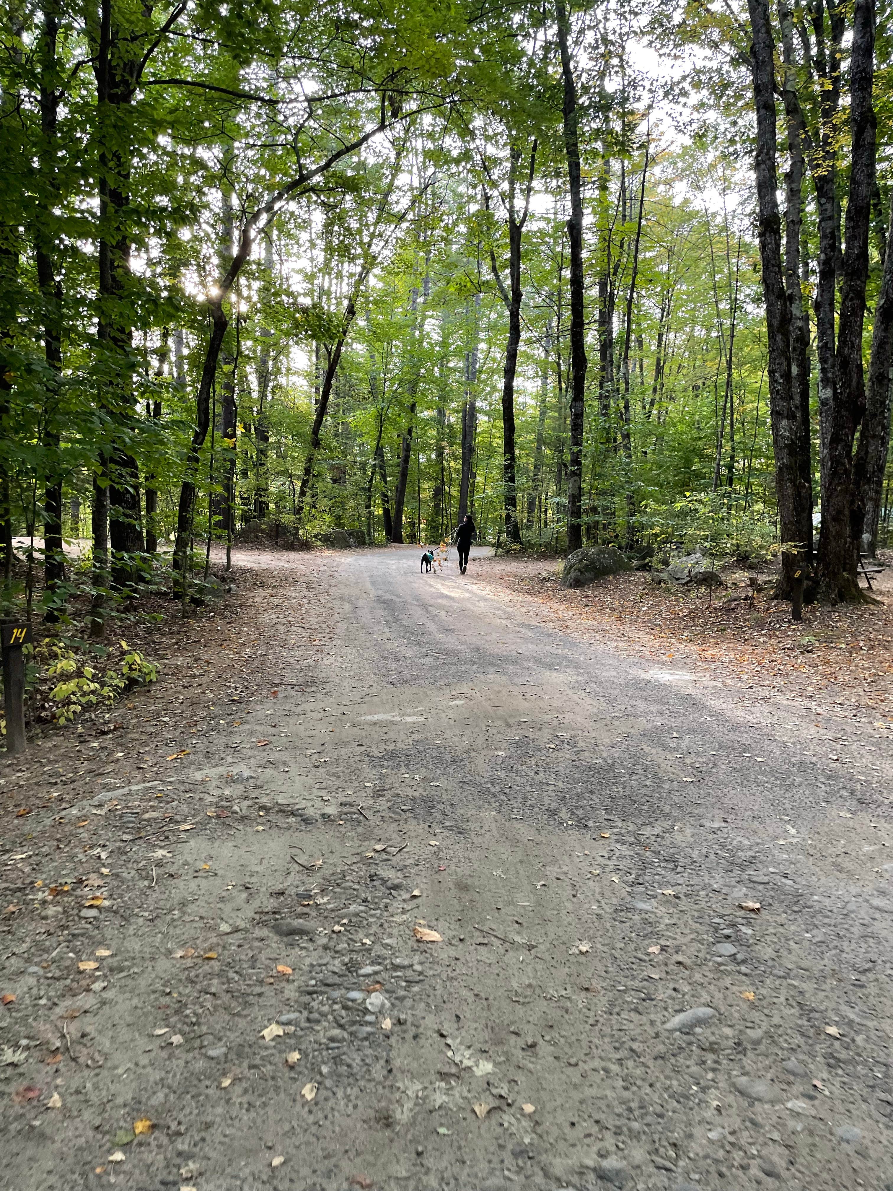 Camper-submitted photo at Harbor Hill Camping Area near Sanbornton, NH