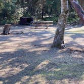 Review photo of Henry Cowell Redwoods State Park Campground by Julie B., October 12, 2022