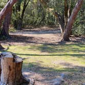 Review photo of Henry Cowell Redwoods State Park Campground by Julie B., October 12, 2022