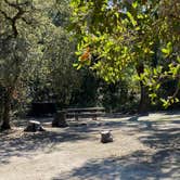 Review photo of Henry Cowell Redwoods State Park Campground by Julie B., October 12, 2022