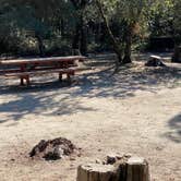 Review photo of Henry Cowell Redwoods State Park Campground by Julie B., October 12, 2022