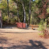 Review photo of Henry Cowell Redwoods State Park Campground by Julie B., October 12, 2022