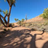 Review photo of Comb Wash Dispersed Camping Area by Greg L., October 12, 2022