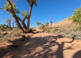 Comb Wash Dispersed Camping Area