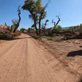 Review photo of Comb Wash Dispersed Camping Area by Greg L., October 12, 2022