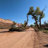 Review photo of Comb Wash Dispersed Camping Area by Greg L., October 12, 2022