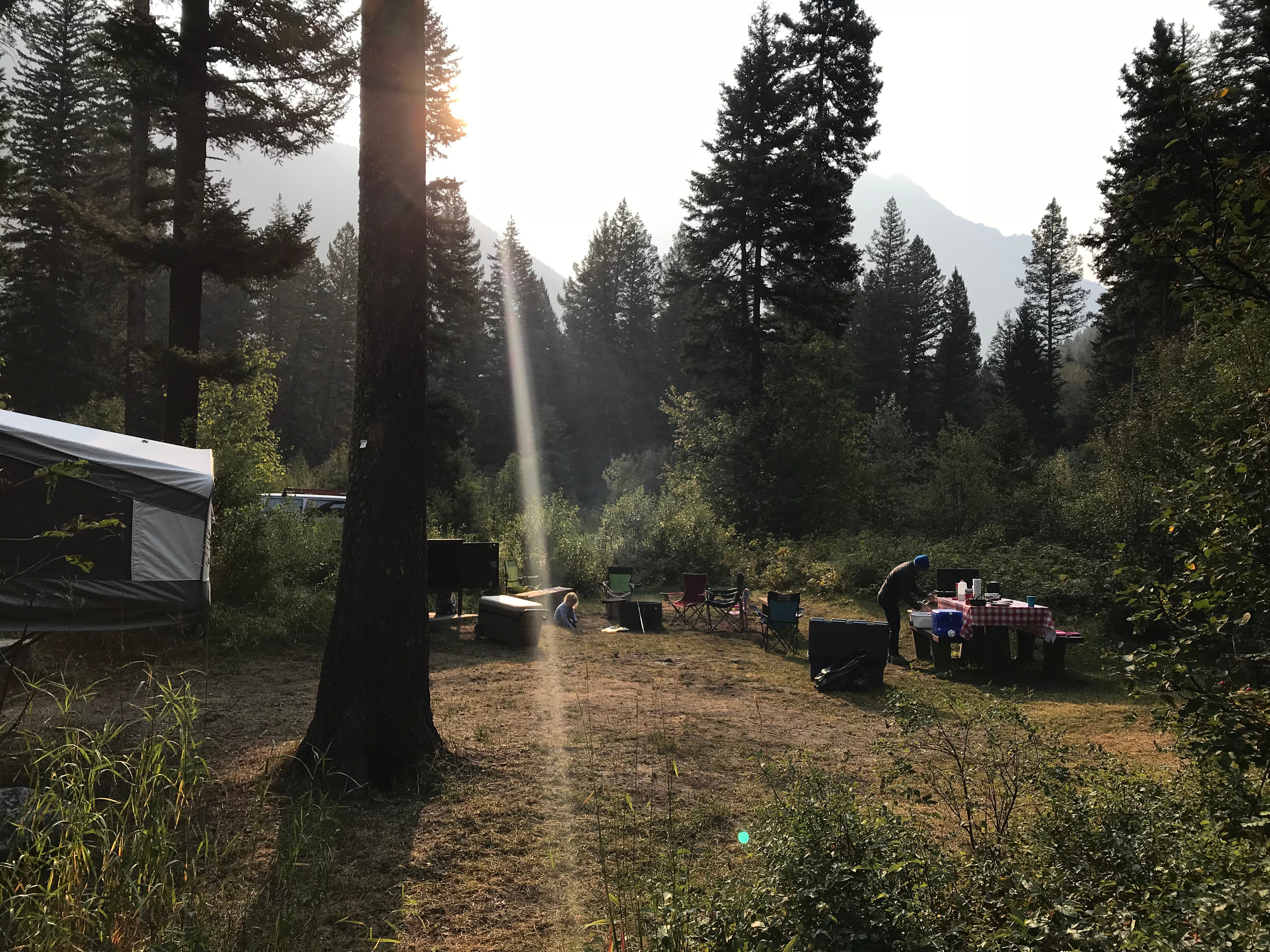 Camper submitted image from Pine Creek Campground - 5