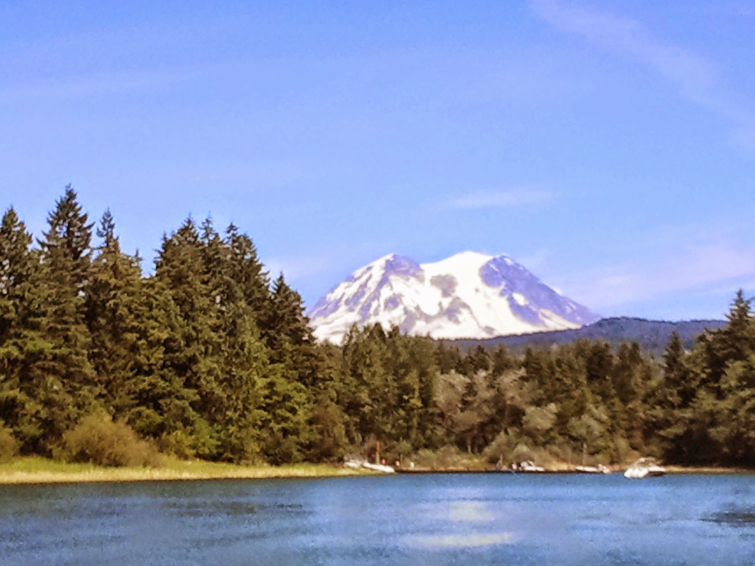 Camper submitted image from Alder Lake Park - 2