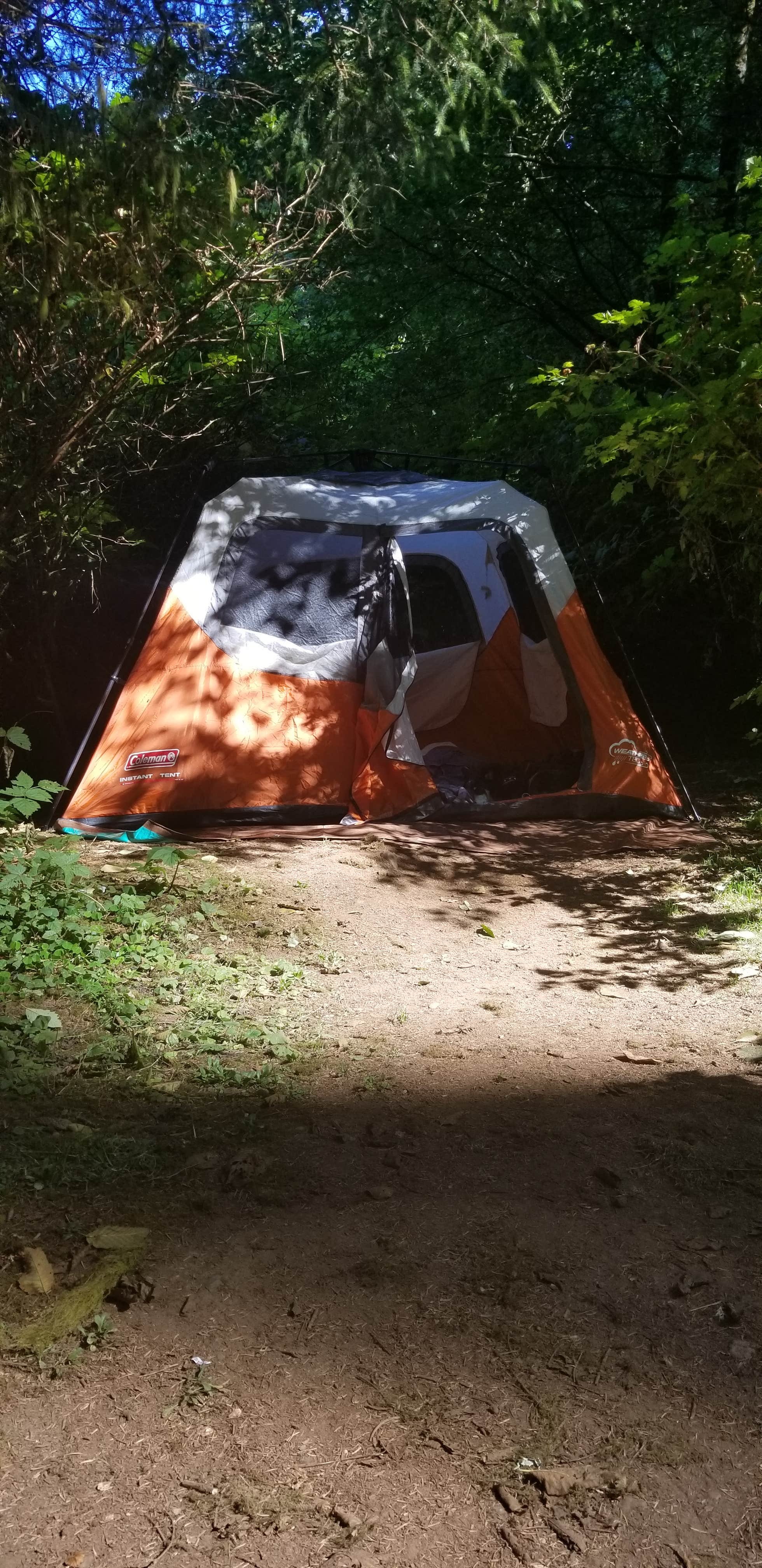 Jasmine V.'s photo at Cape Perpetua near Waldport, OR