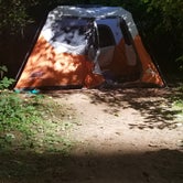 Review photo of Cape Perpetua by Jasmine V., September 7, 2018