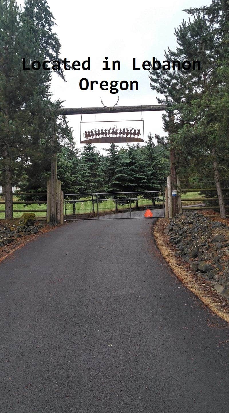 Camper-submitted photo at Carsner Tree Farm (CTF) near Sweet Home, OR