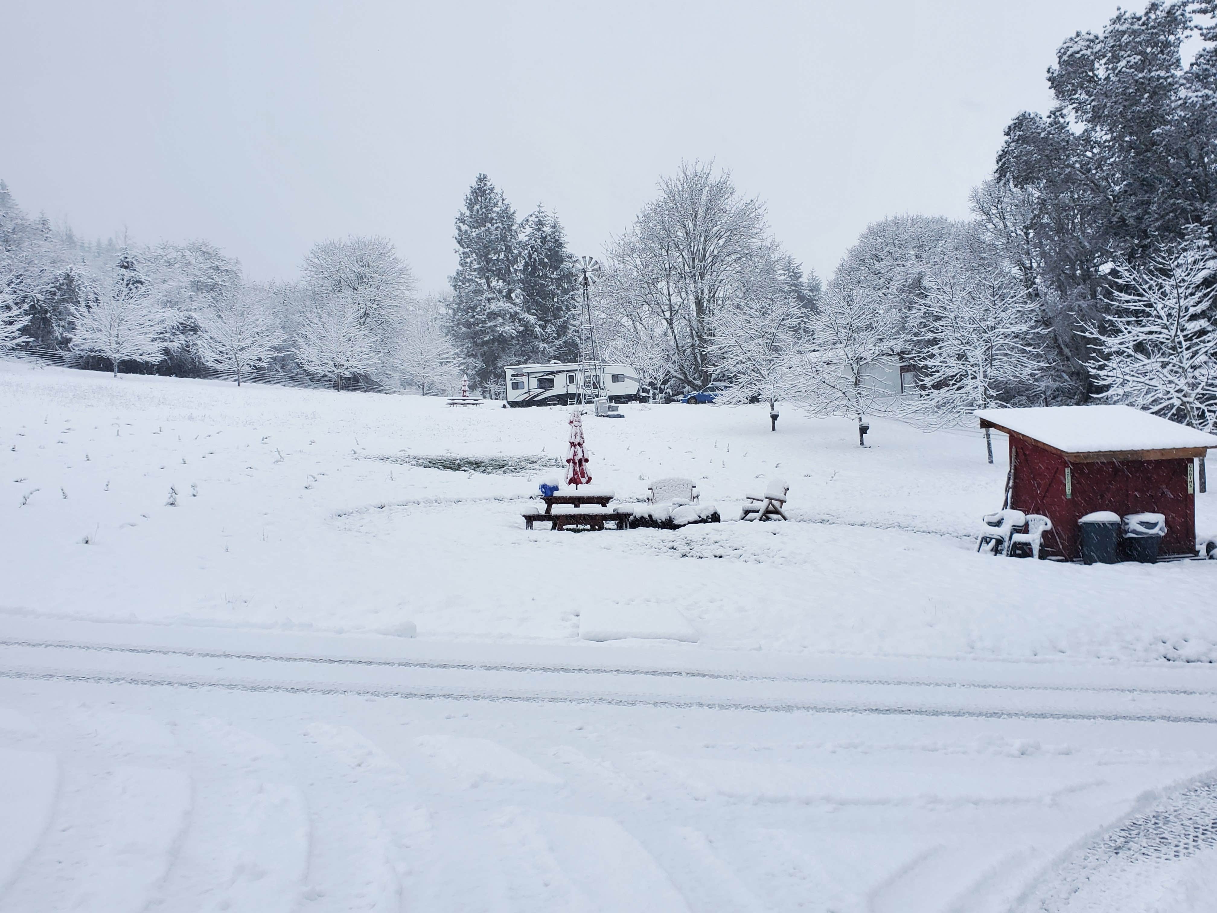 Camper-submitted photo at Carsner Tree Farm (CTF) near Sweet Home, OR