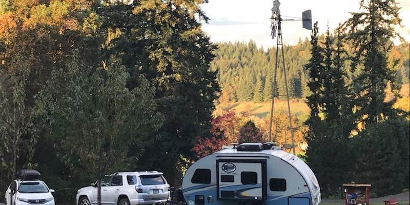 Camper submitted image from Carsner Tree Farm (CTF)