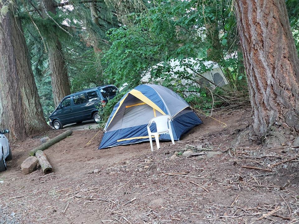 Camper-submitted photo at Carsner Tree Farm (CTF) near Sweet Home, OR