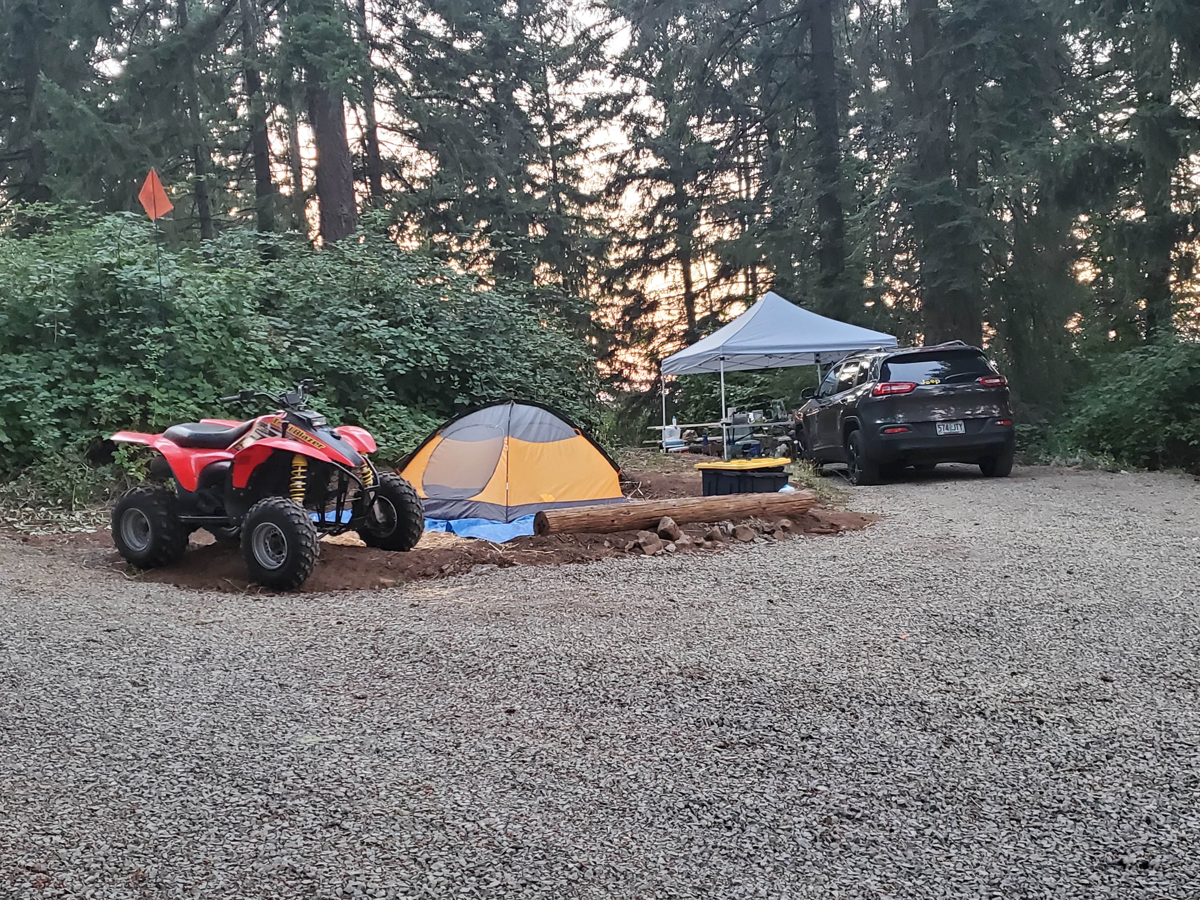 Michael J.'s photo at Carsner Tree Farm (CTF) near Albany, OR
