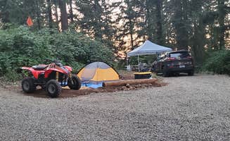 Michael J.'s photo at Carsner Tree Farm (CTF) near Philomath, OR