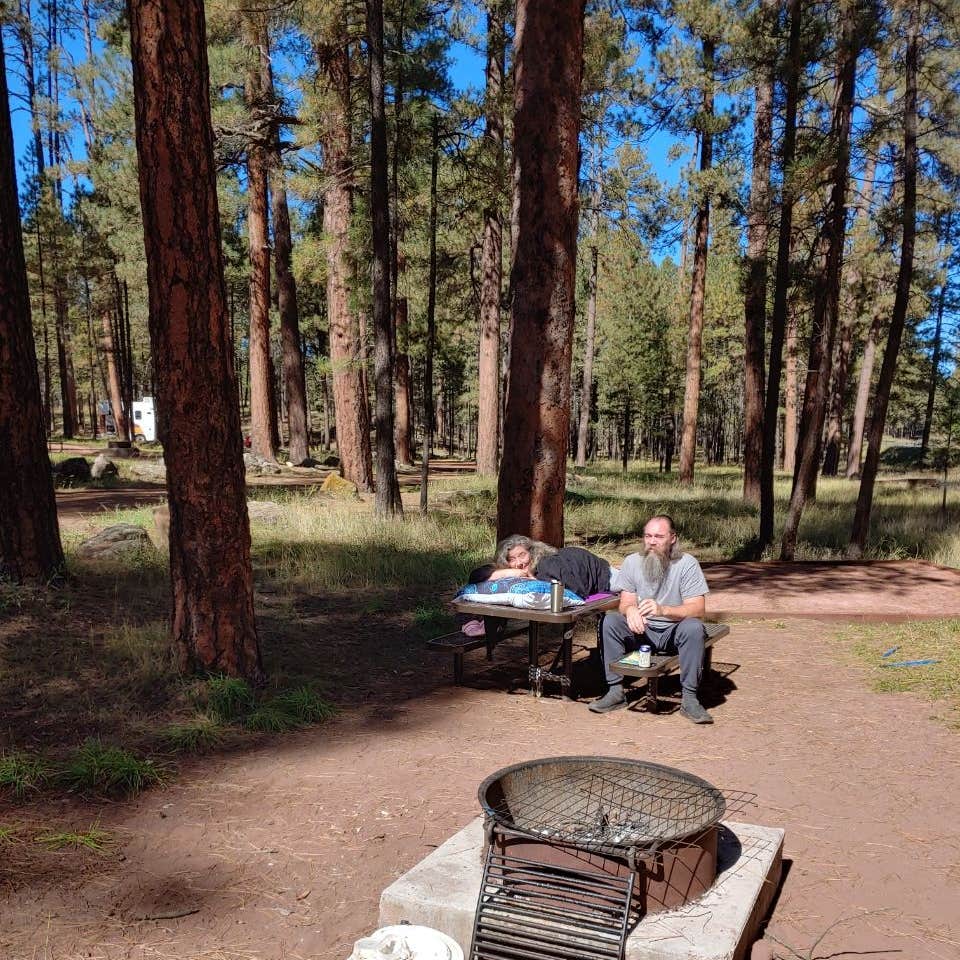 Clints Well Campground Happy Jack, AZ