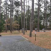 Review photo of Milburn Landing Campground by Laurie B., October 13, 2022