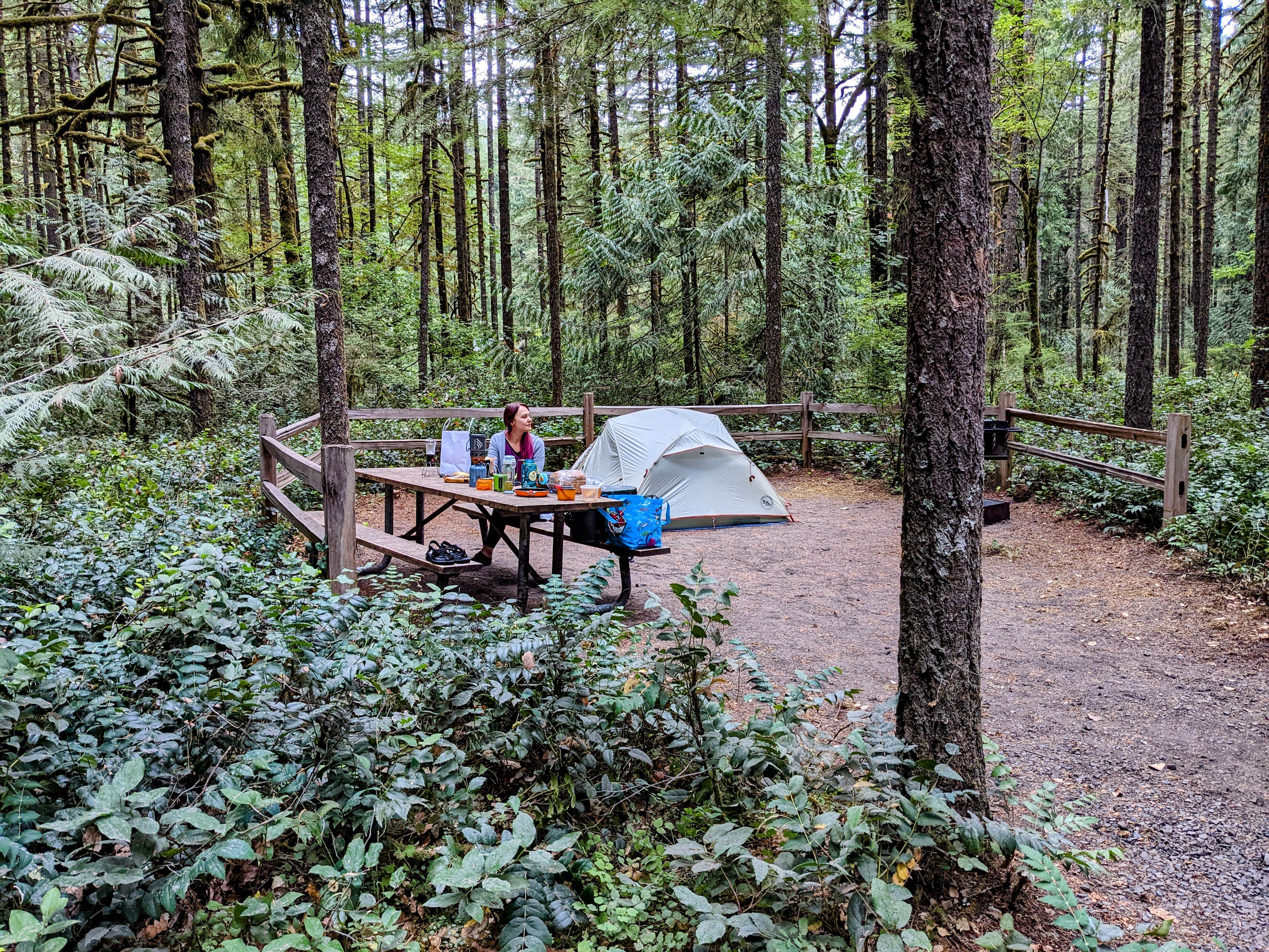Karolina N.'s photo at Oxbow Regional Park near Milwaukie, OR