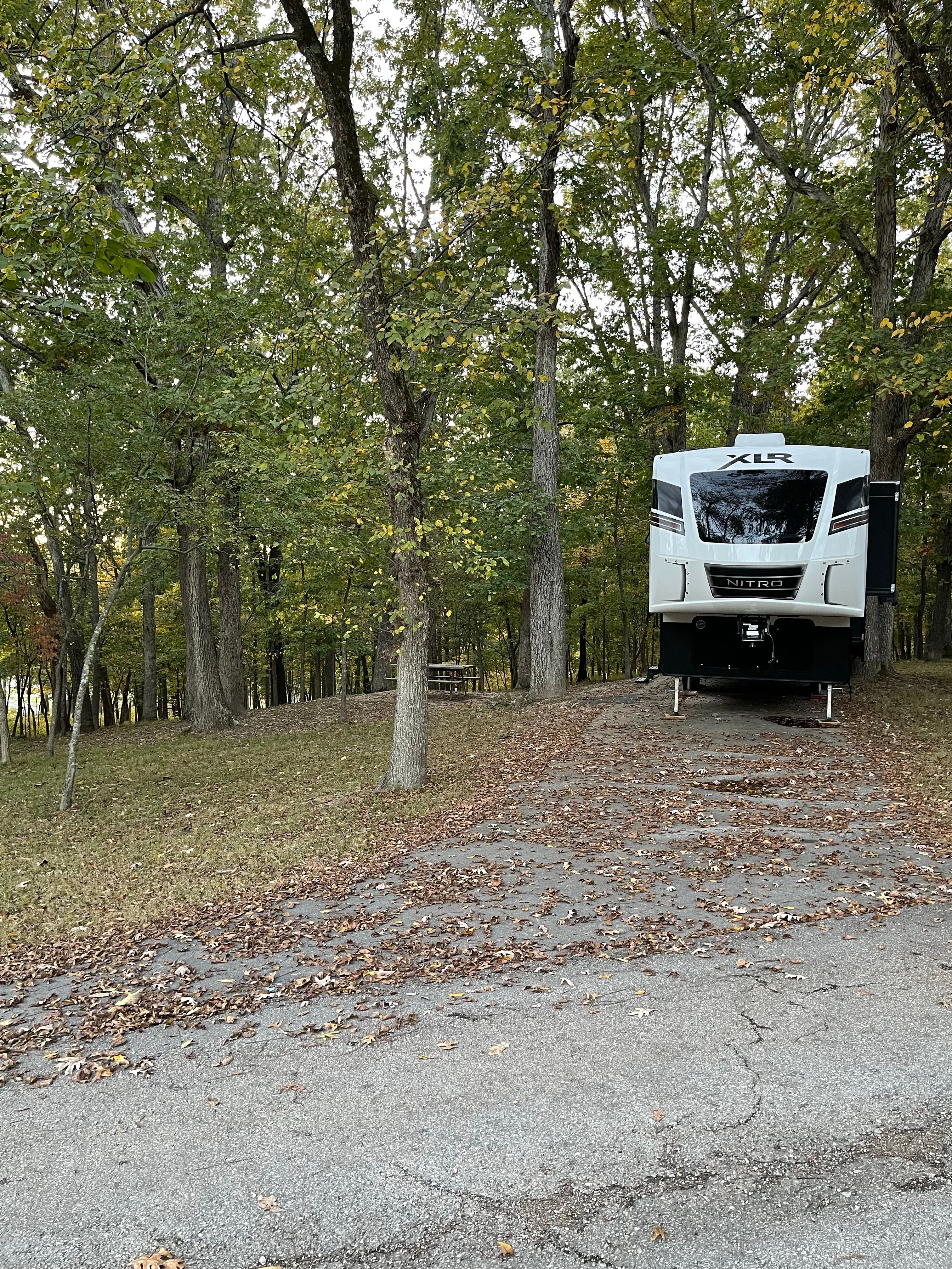Camper submitted image from Lake of the Ozarks Recreation Area - 1
