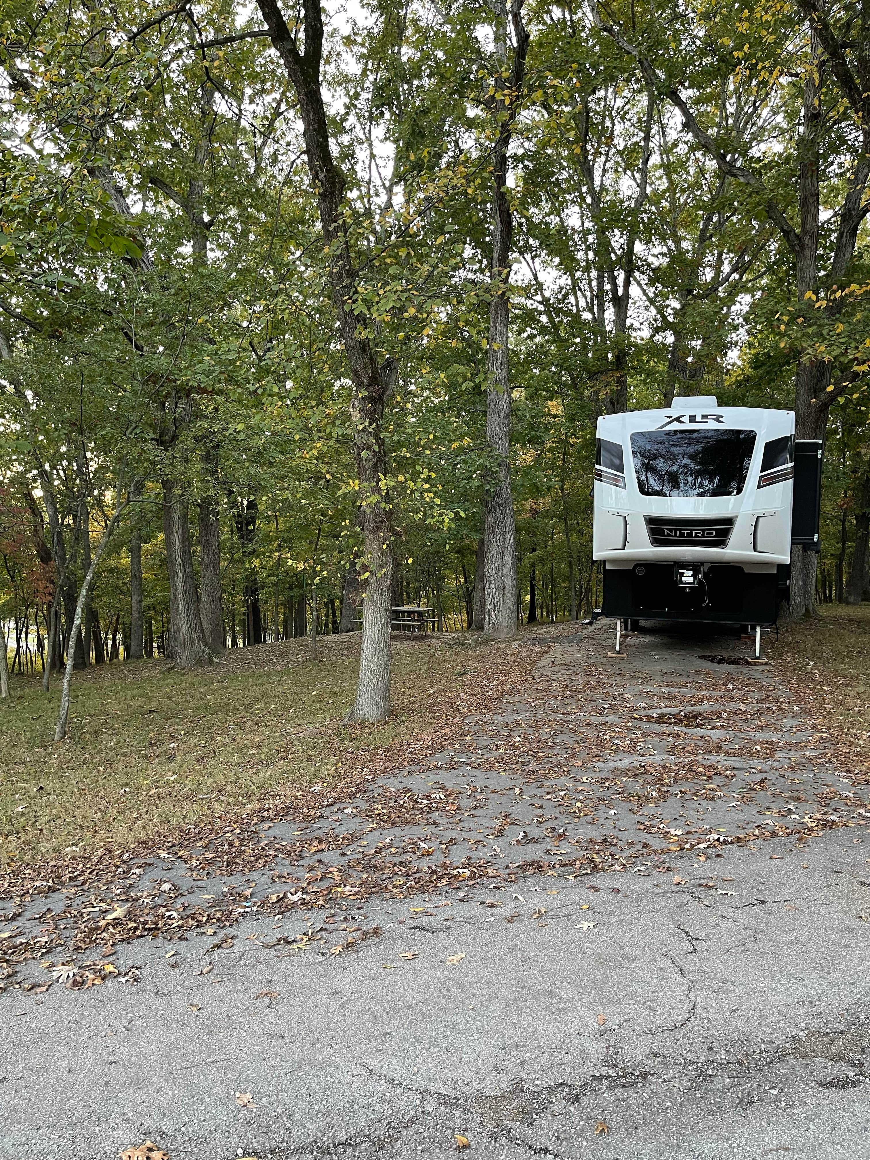 Camper submitted image from Lake of the Ozarks Recreation Area - 1