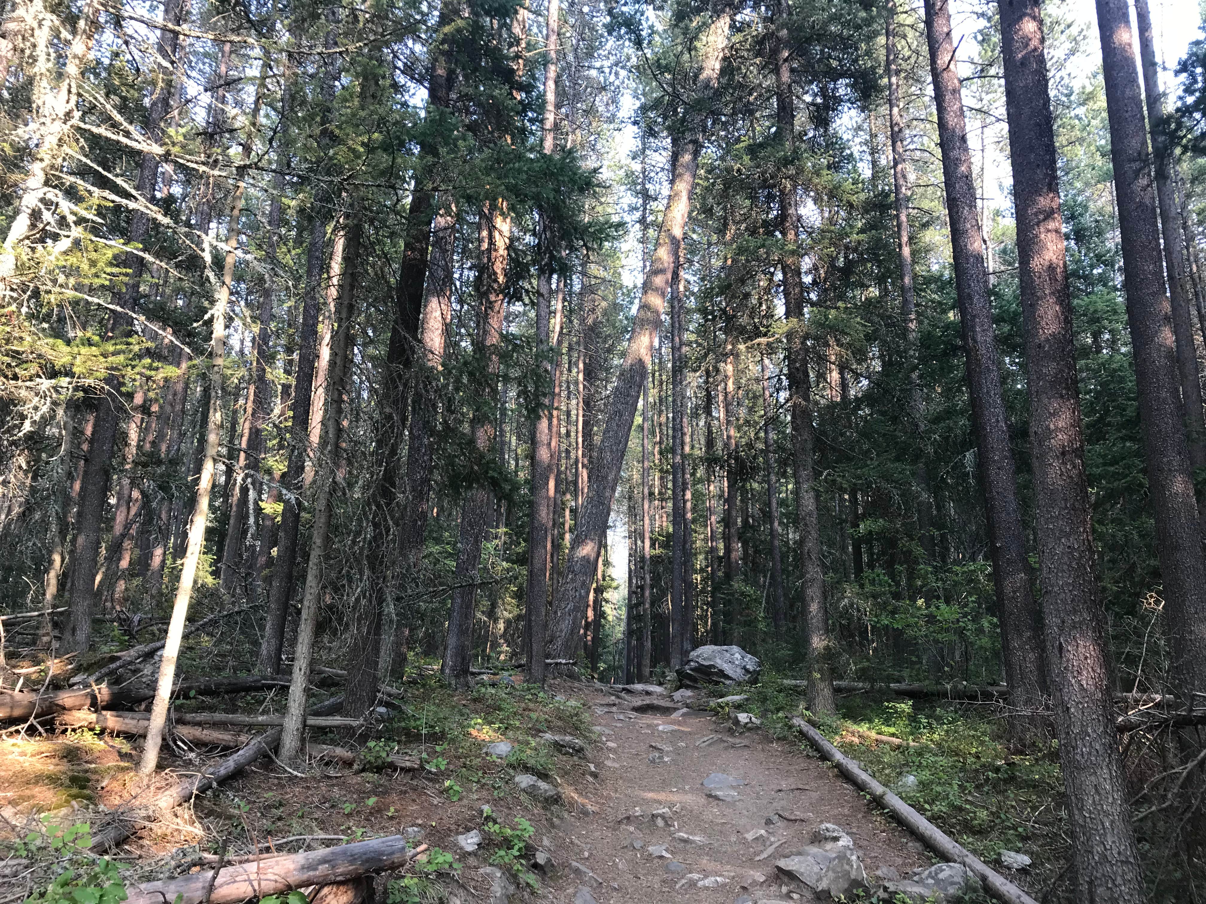 Camper-submitted photo at Pine Creek Campground near Pray, MT