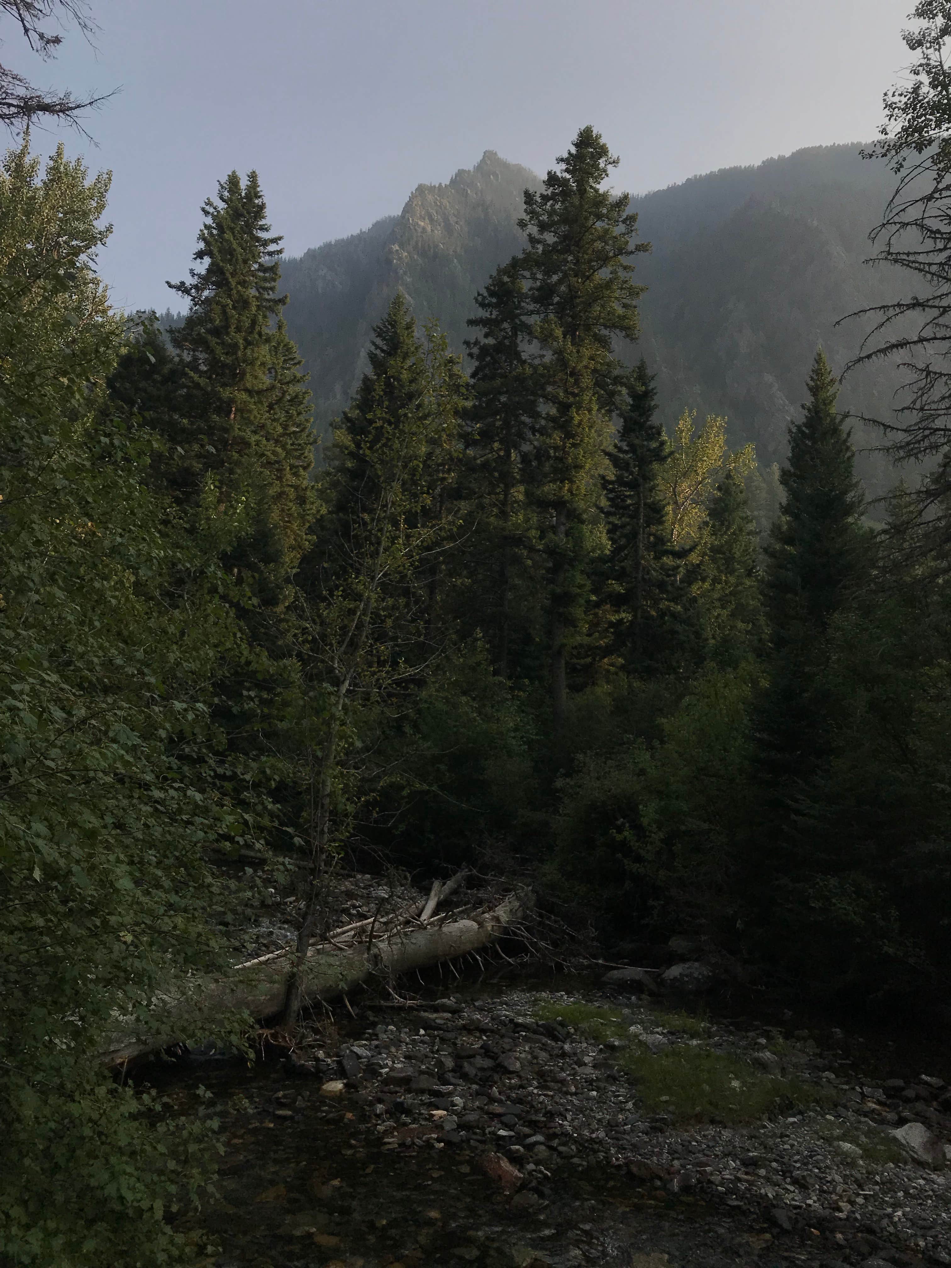 Camper-submitted photo at Pine Creek Campground near Pray, MT