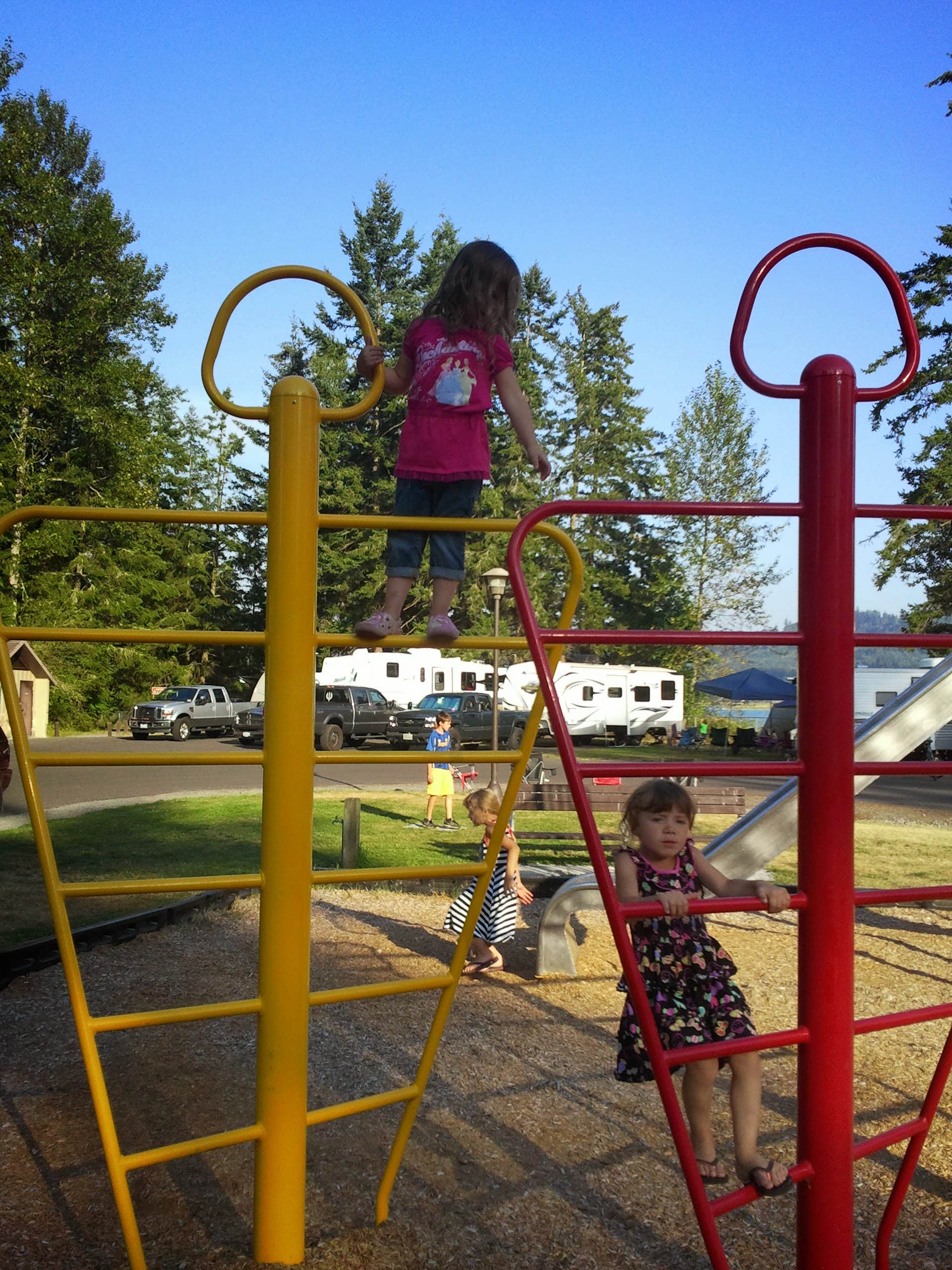 Camper submitted image from Alder Lake Park - 4