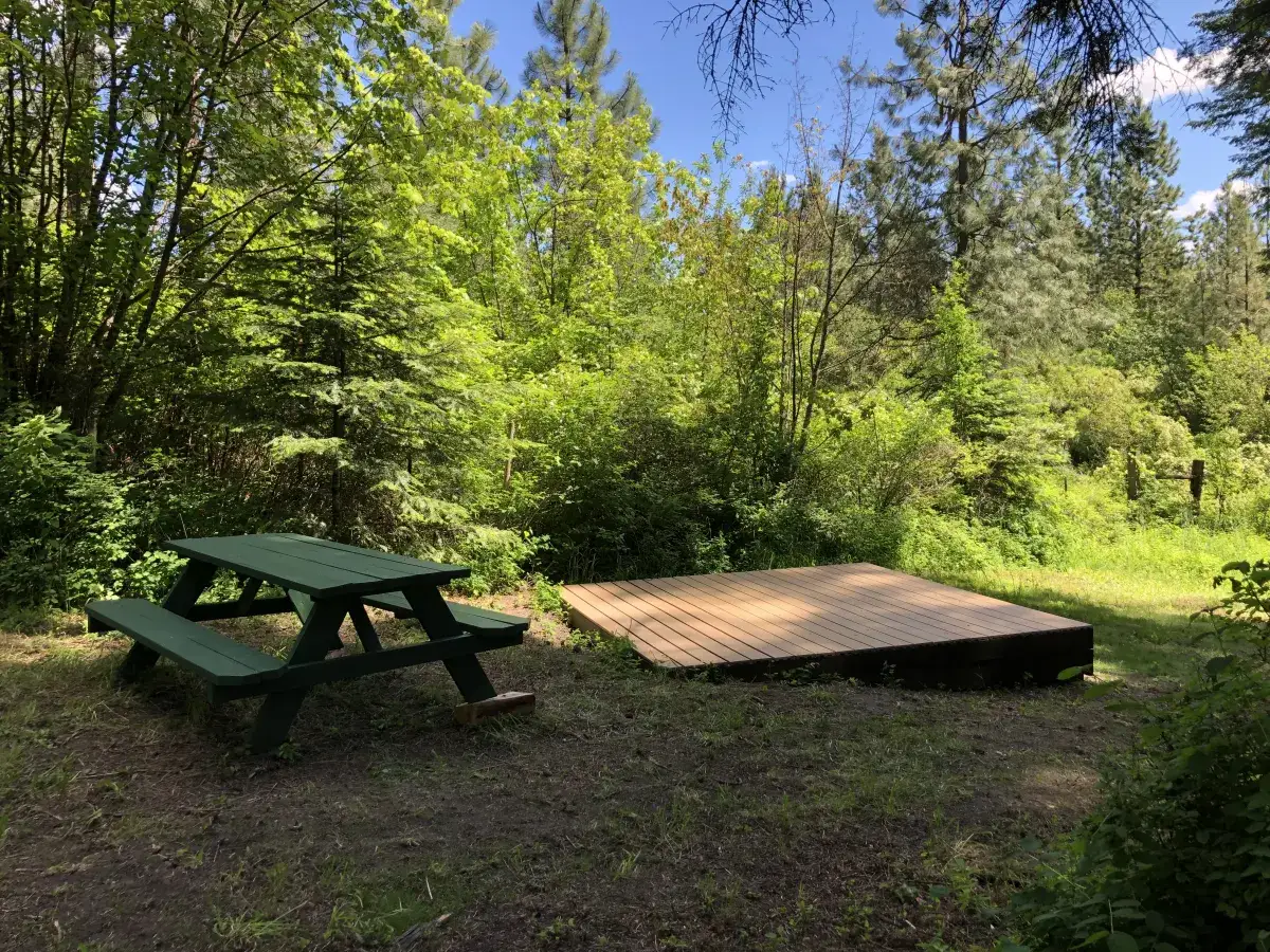 Camper-submitted photo at Amongst The Pines near Newman Lake, WA