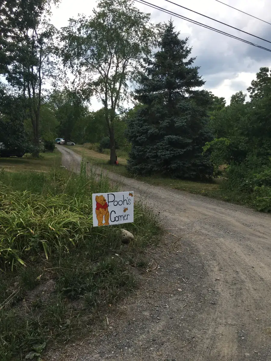 Pooh's Corner