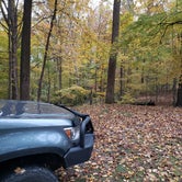 Review photo of Tygart Lake State Park Campground by Steve , October 13, 2022