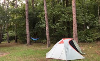 Kaitlin R.'s photo at Kyles Landing Campground — Buffalo National River near Kingston, AR