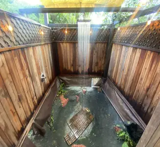 Camper-submitted photo from Permaculture Paradise: Tropical Escape