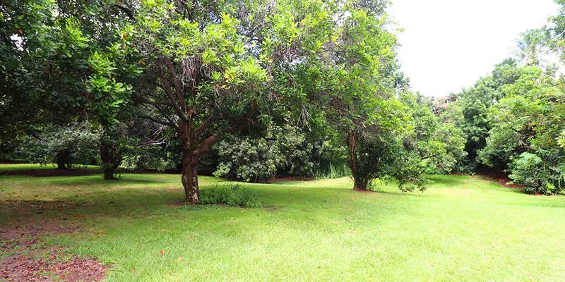 Camper submitted image from Hawaii’s Best Dyrt